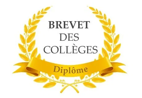 Brevet image.png